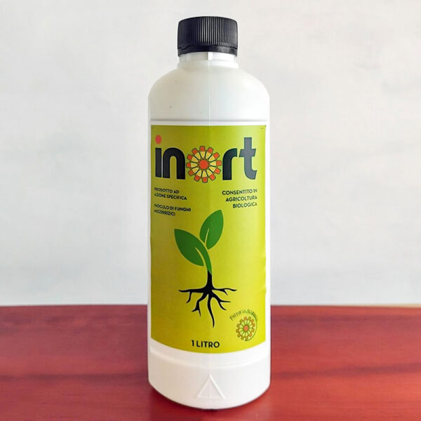 INORT