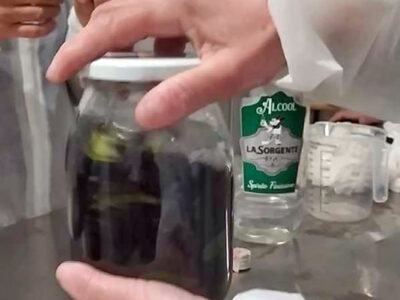 mirto-in-alcool