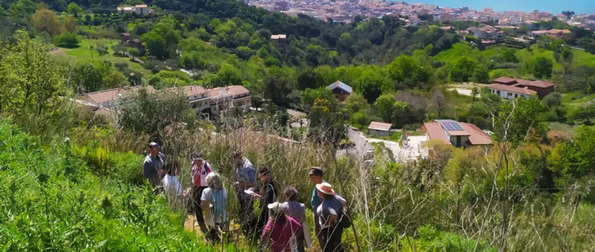 Saggezza spontanea – Evento