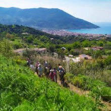 Saggezza spontanea – Evento