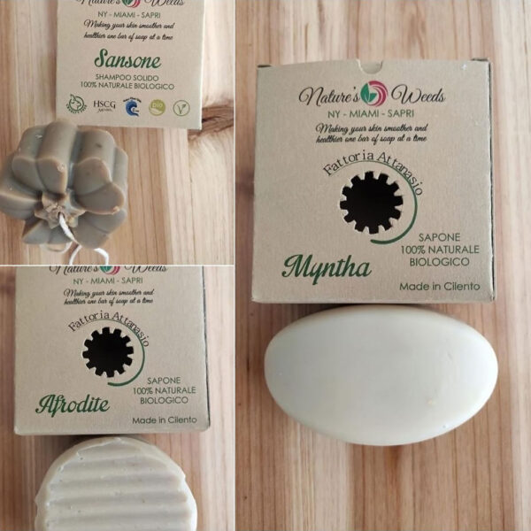 Sapone naturale all’Inula viscosa